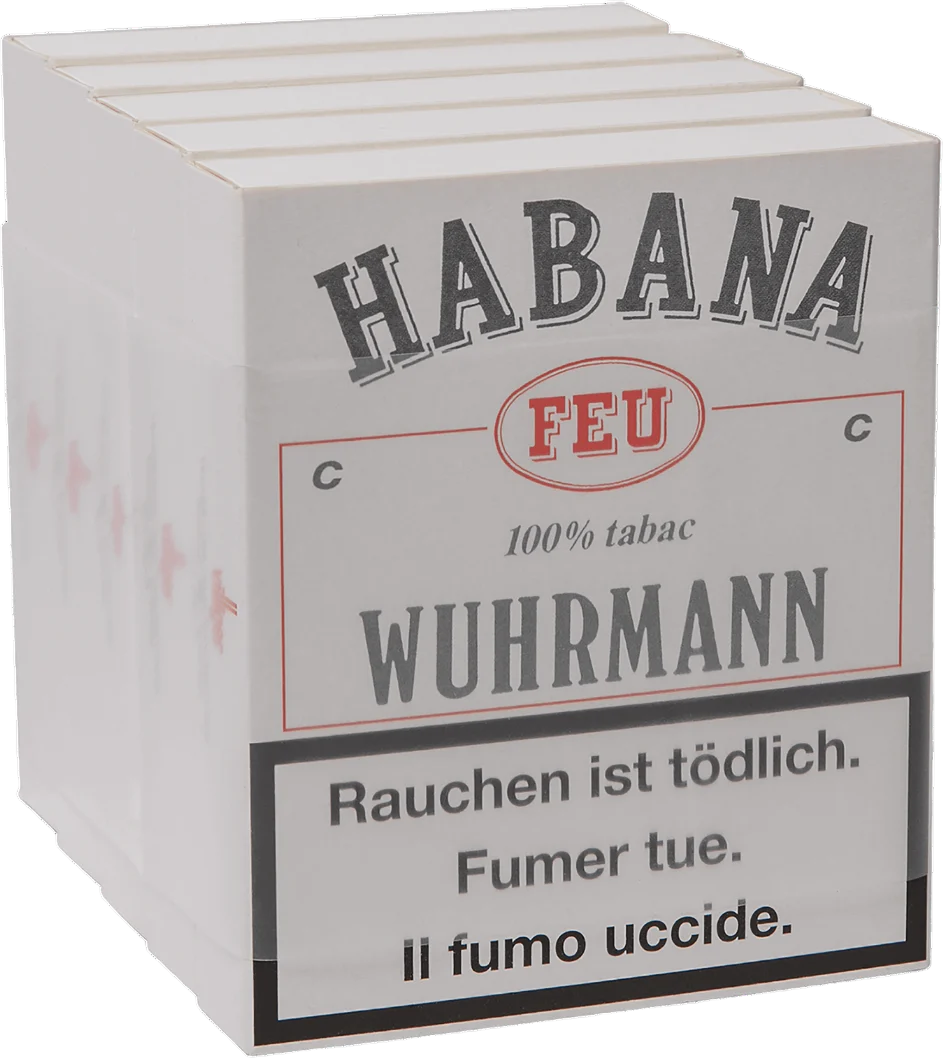 Vorschaubild 2
